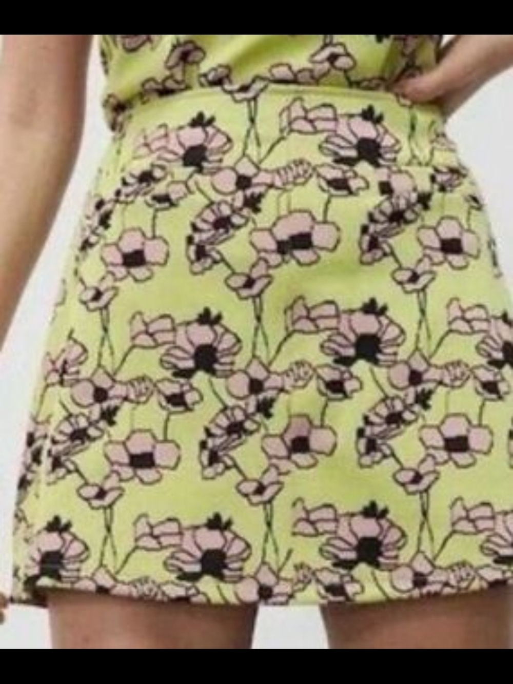 Zara Floral Mini Skirt